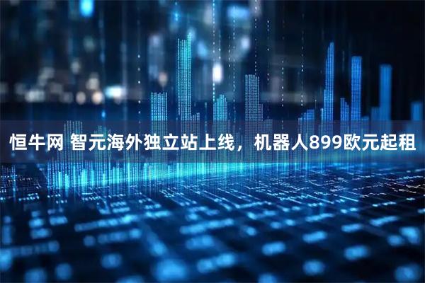 恒牛网 智元海外独立站上线，机器人899欧元起租
