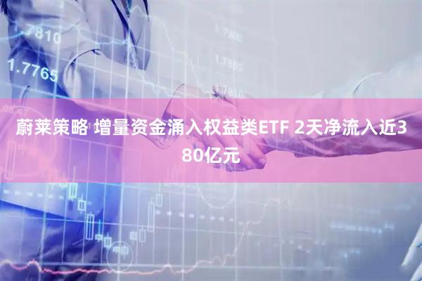 蔚莱策略 增量资金涌入权益类ETF 2天净流入近380亿元