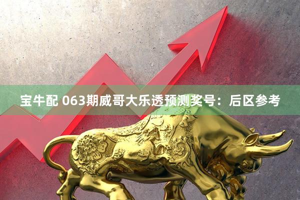 宝牛配 063期威哥大乐透预测奖号：后区参考