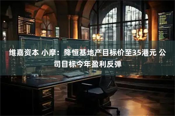 维嘉资本 小摩：降恒基地产目标价至35港元 公司目标今年盈利反弹
