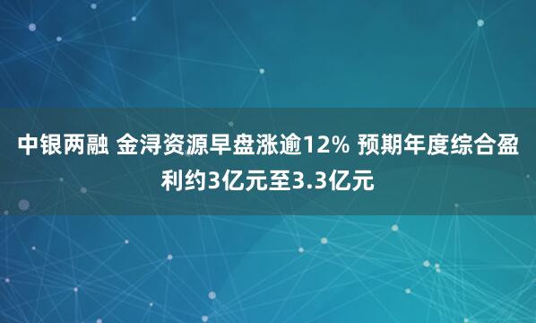 中银两融 金浔资源早盘涨逾12% 预期年度综合盈利约3亿元至3.3亿元