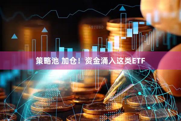 策略池 加仓！资金涌入这类ETF