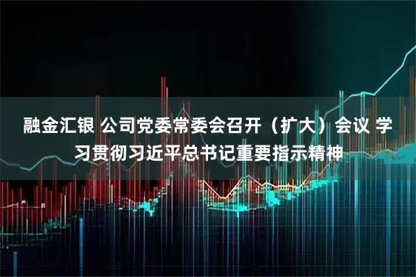 融金汇银 公司党委常委会召开（扩大）会议 学习贯彻习近平总书记重要指示精神