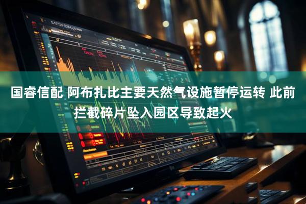国睿信配 阿布扎比主要天然气设施暂停运转 此前拦截碎片坠入园区导致起火