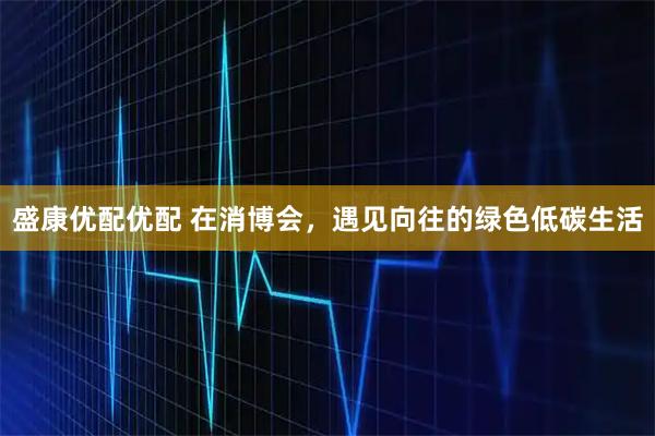 盛康优配优配 在消博会，遇见向往的绿色低碳生活