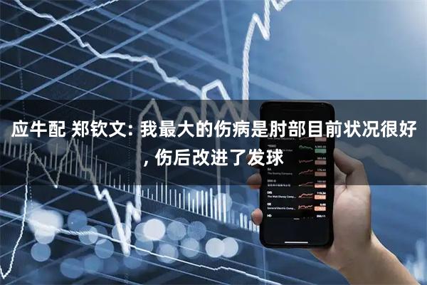 应牛配 郑钦文: 我最大的伤病是肘部目前状况很好, 伤后改进了发球