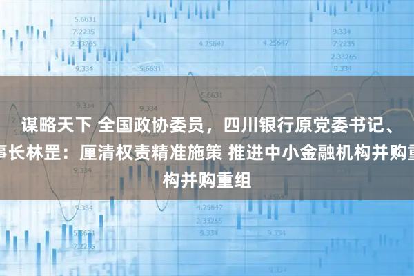 谋略天下 全国政协委员，四川银行原党委书记、董事长林罡：厘清权责精准施策 推进中小金融机构并购重组