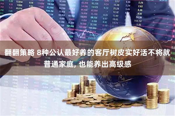 翻翻策略 8种公认最好养的客厅树皮实好活不将就普通家庭, 也能养出高级感