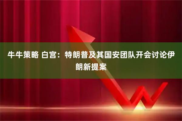 牛牛策略 白宫：特朗普及其国安团队开会讨论伊朗新提案
