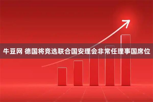 牛豆网 德国将竞选联合国安理会非常任理事国席位