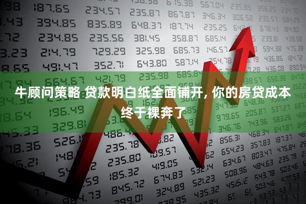 牛顾问策略 贷款明白纸全面铺开, 你的房贷成本终于裸奔了