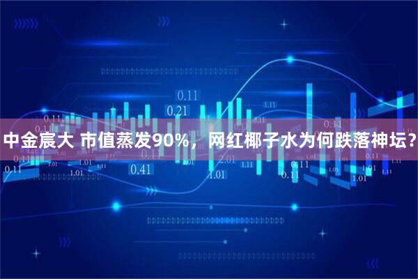 中金宸大 市值蒸发90%，网红椰子水为何跌落神坛？